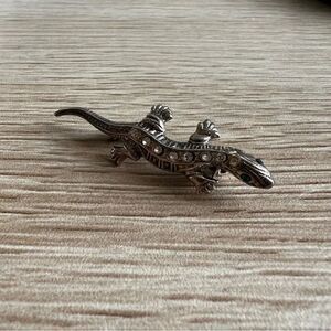 Lizard brooch  